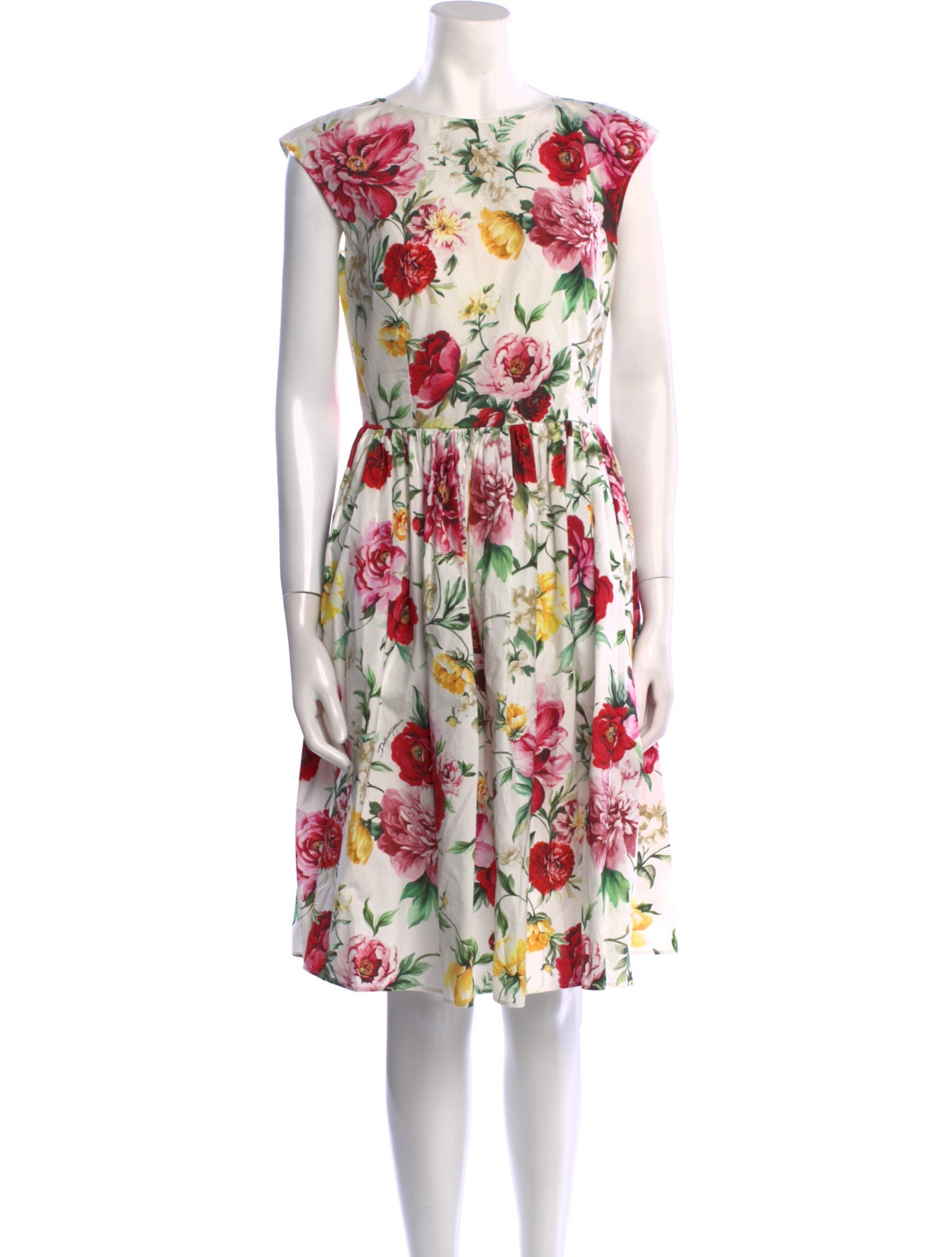 Dolce & Gabbana Floral Print Knee-Length Dress
