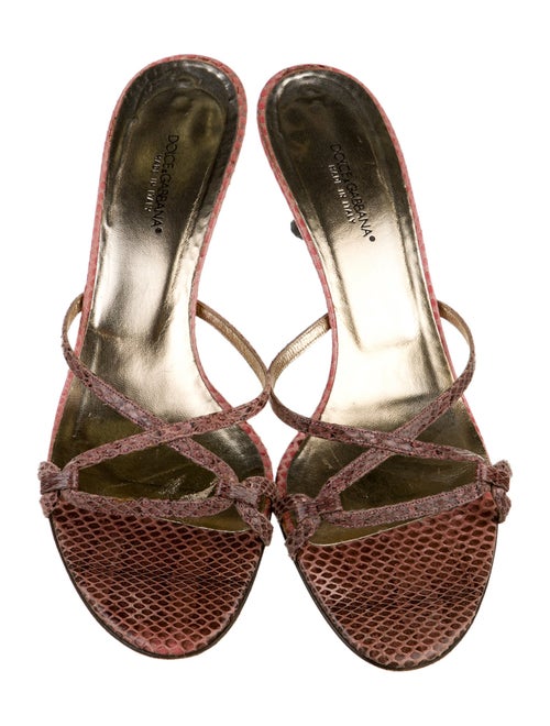 Dolce & Gabbana Snakeskin Animal Print Slides