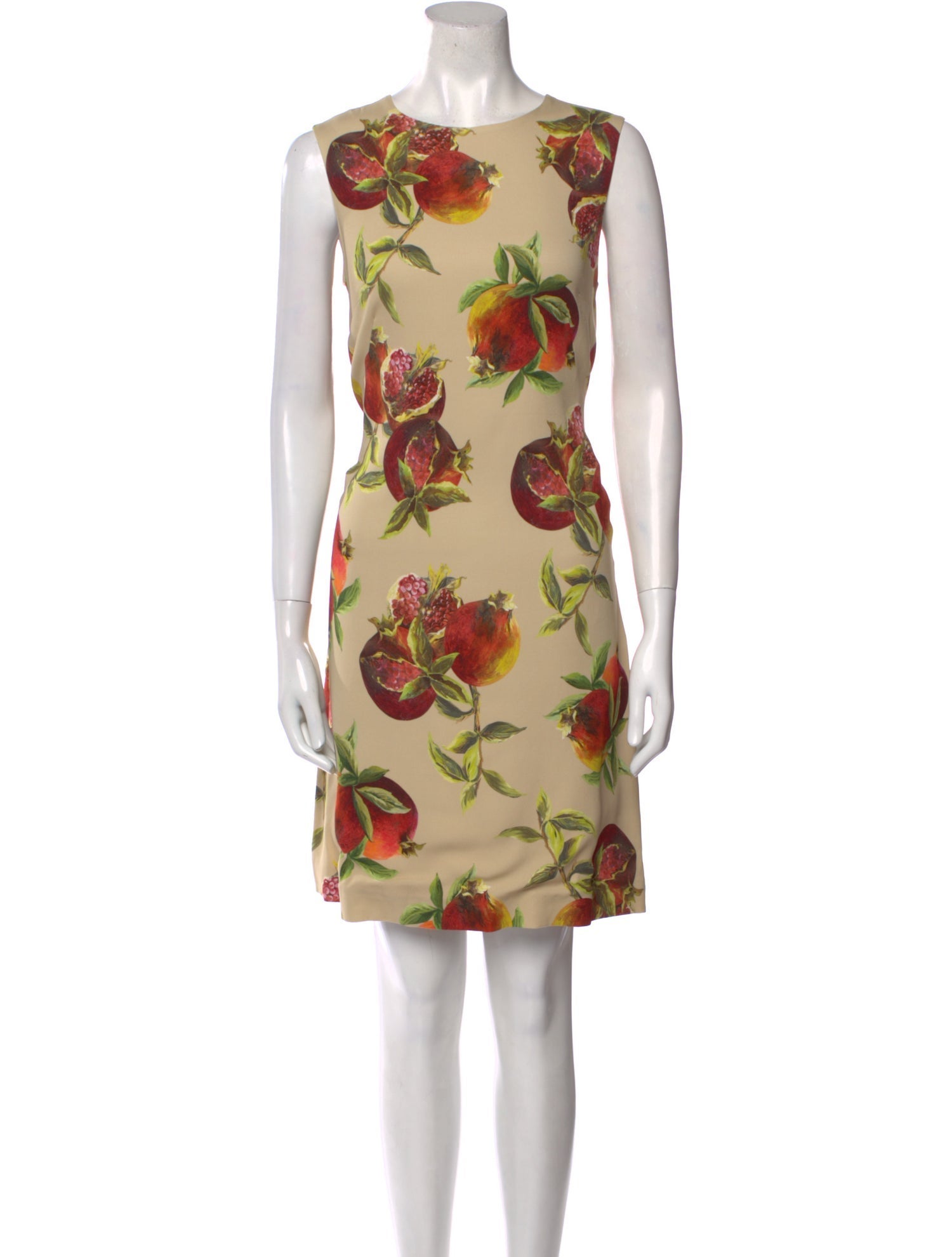Dolce & Gabbana Floral Print Knee-Length Dress