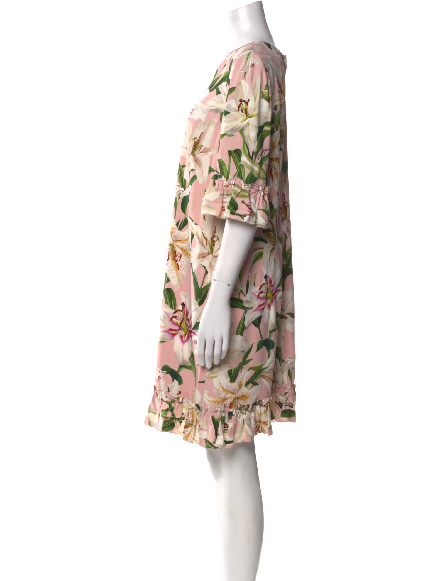 Dolce & Gabbana Floral Print Mini Dress