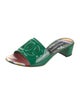 Dolce & Gabbana Patent Leather Printed Slides