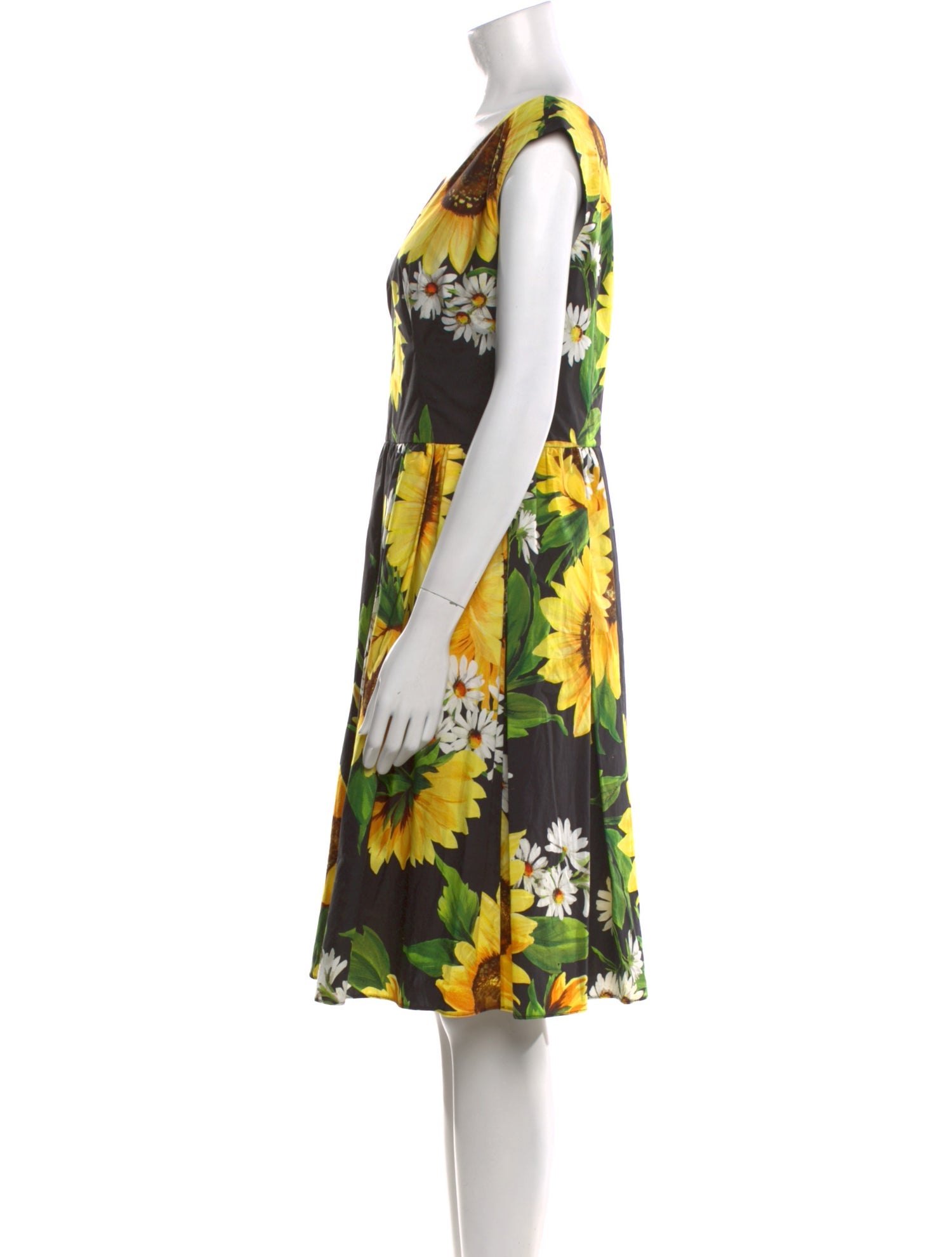 Dolce & Gabbana Floral Print Knee-Length Dress