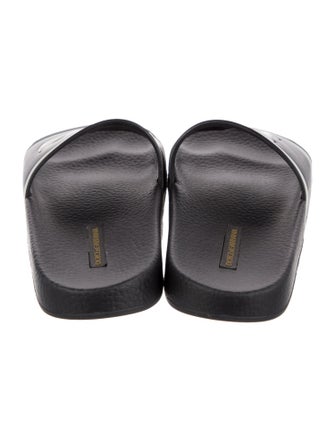 Dolce & Gabbana Rubber Printed Slides