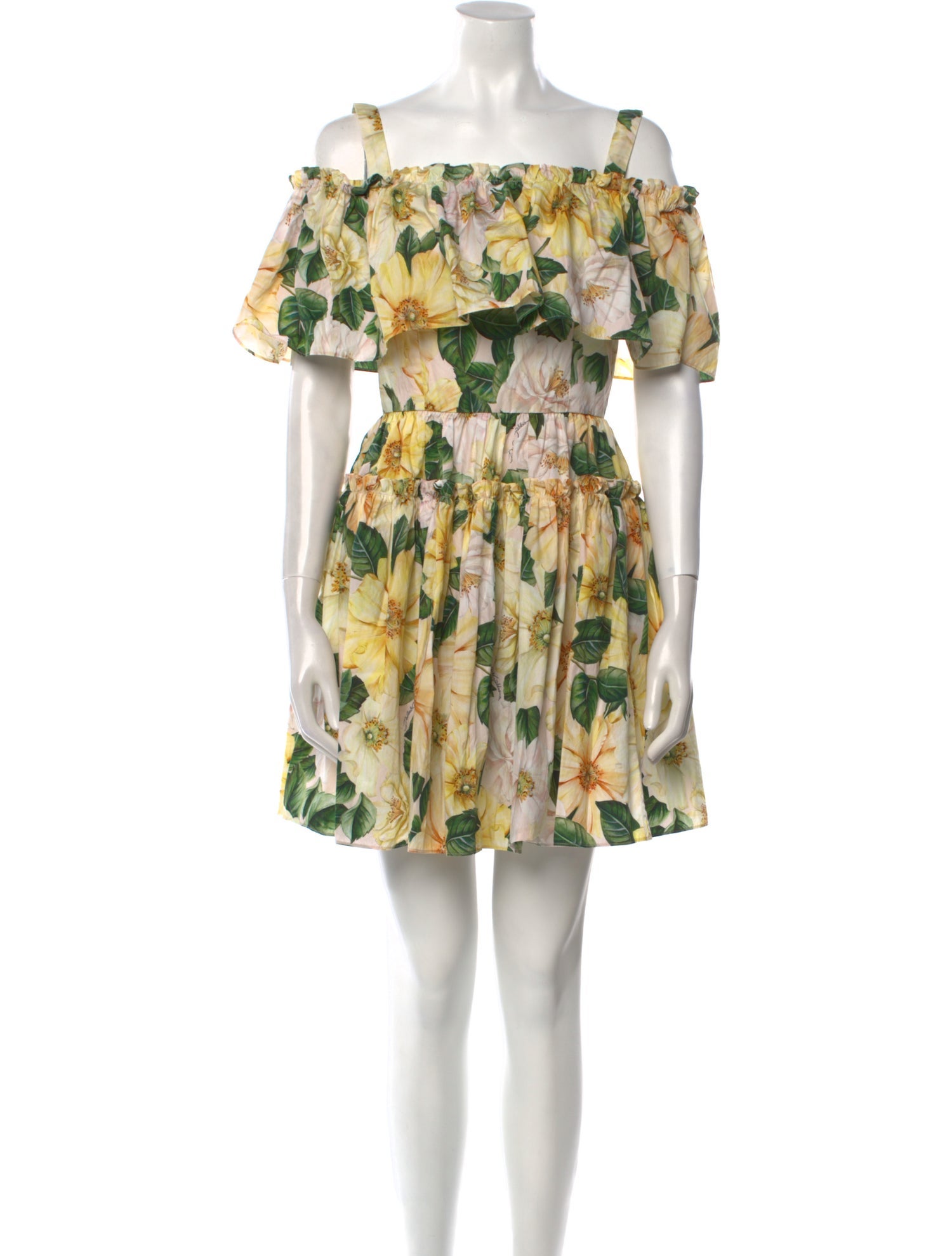 Dolce & Gabbana Floral Print Mini Dress