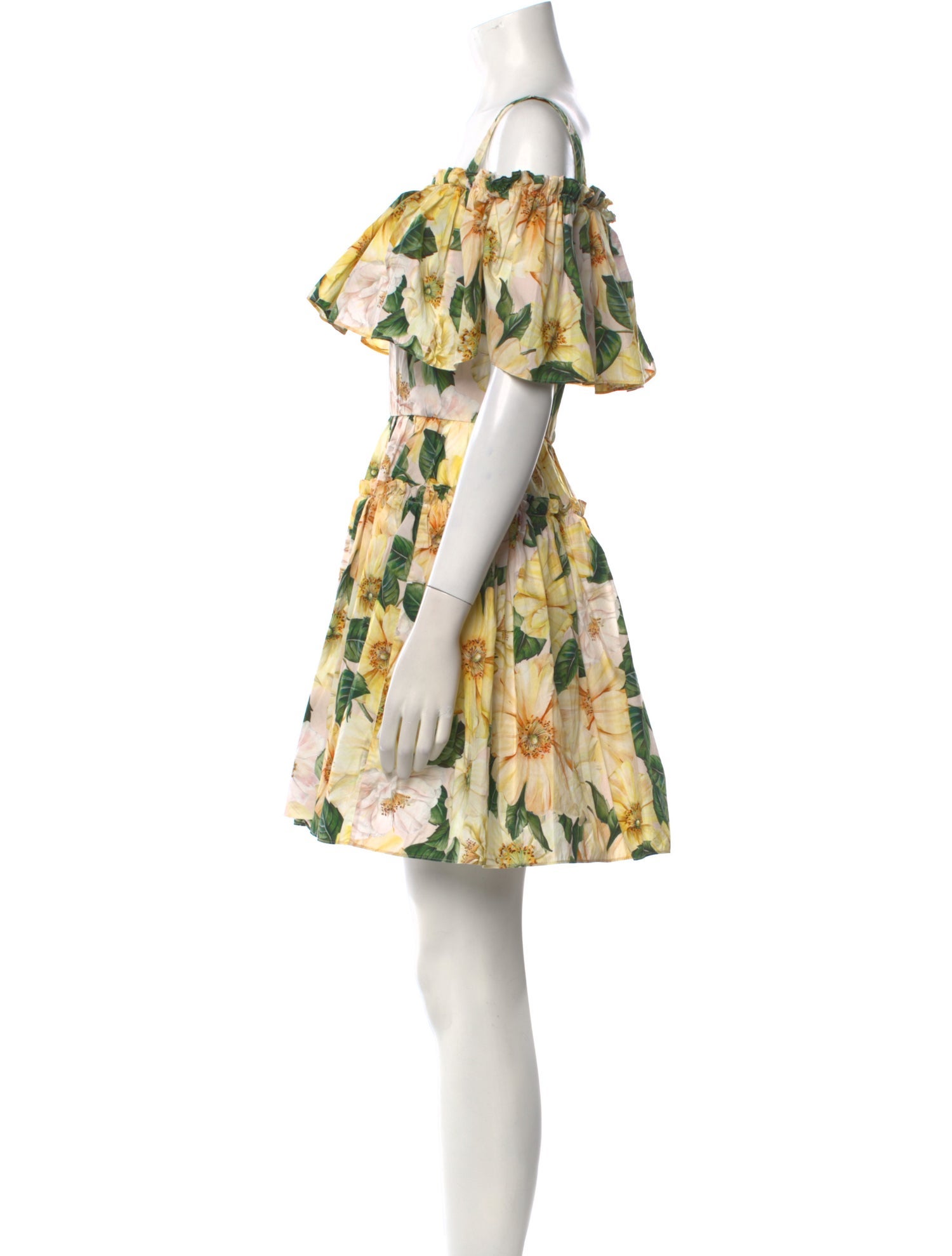 Dolce & Gabbana Floral Print Mini Dress