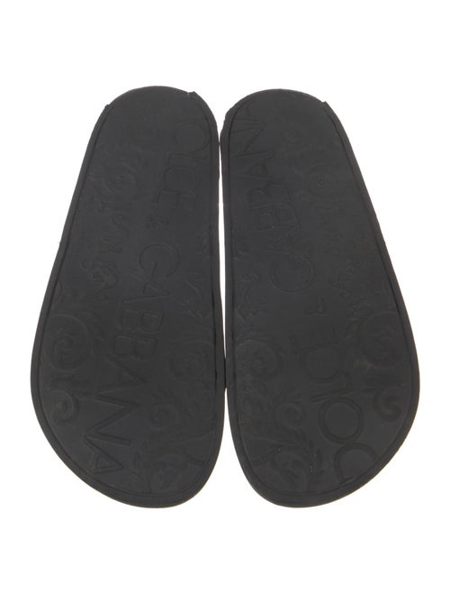 Dolce & Gabbana Rubber Printed Slides
