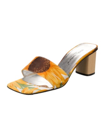 Dolce & Gabbana Satin Printed Slides