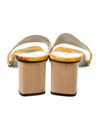 Dolce & Gabbana Satin Printed Slides