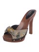 Dolce & Gabbana Canvas Floral Print Mules