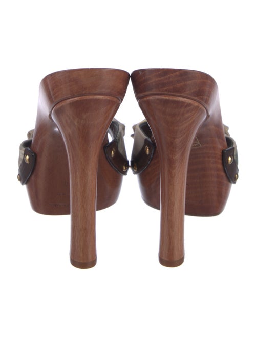 Dolce & Gabbana Canvas Floral Print Mules