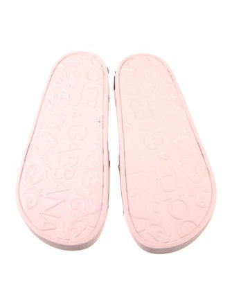 Dolce & Gabbana Rubber Printed Slides
