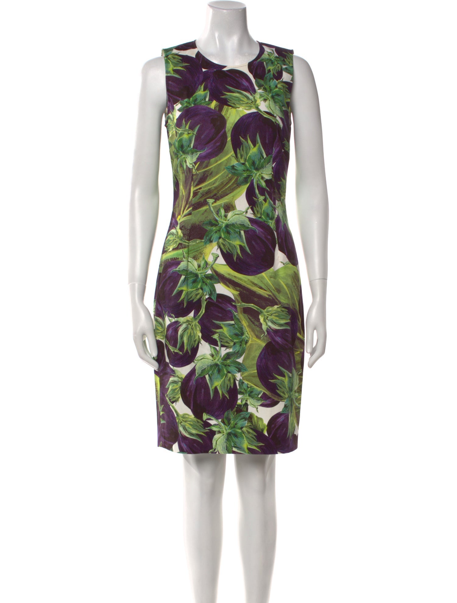 Dolce & Gabbana Floral Print Knee-Length Dress