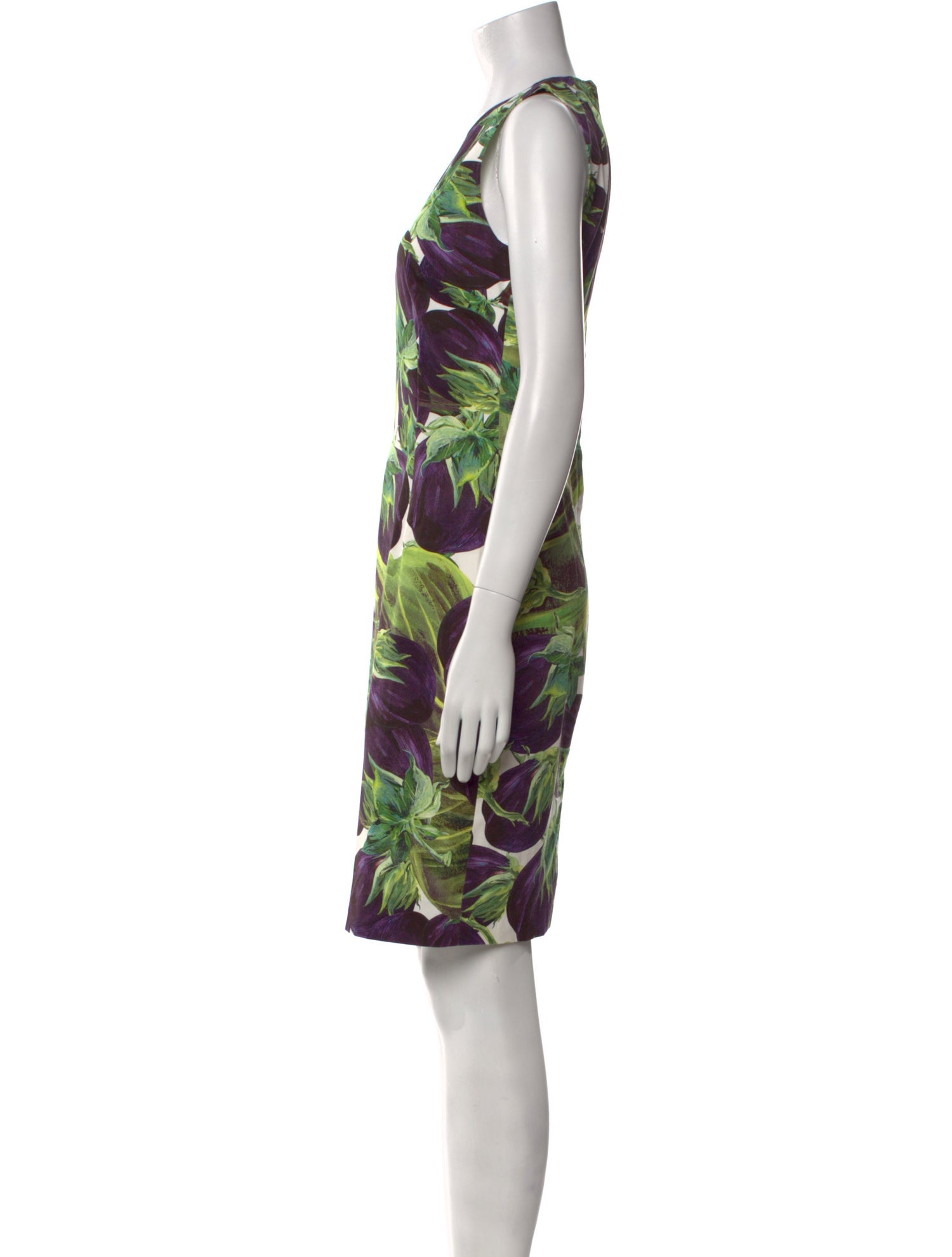 Dolce & Gabbana Floral Print Knee-Length Dress