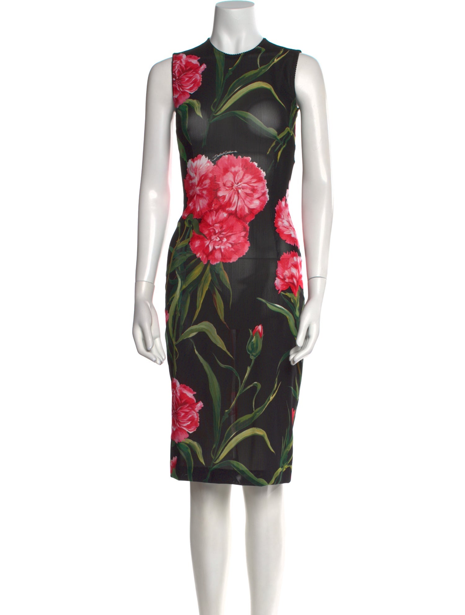 Dolce & Gabbana Floral Print Knee-Length Dress