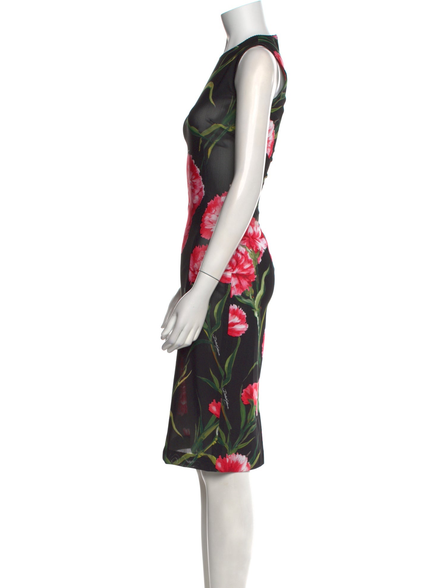 Dolce & Gabbana Floral Print Knee-Length Dress