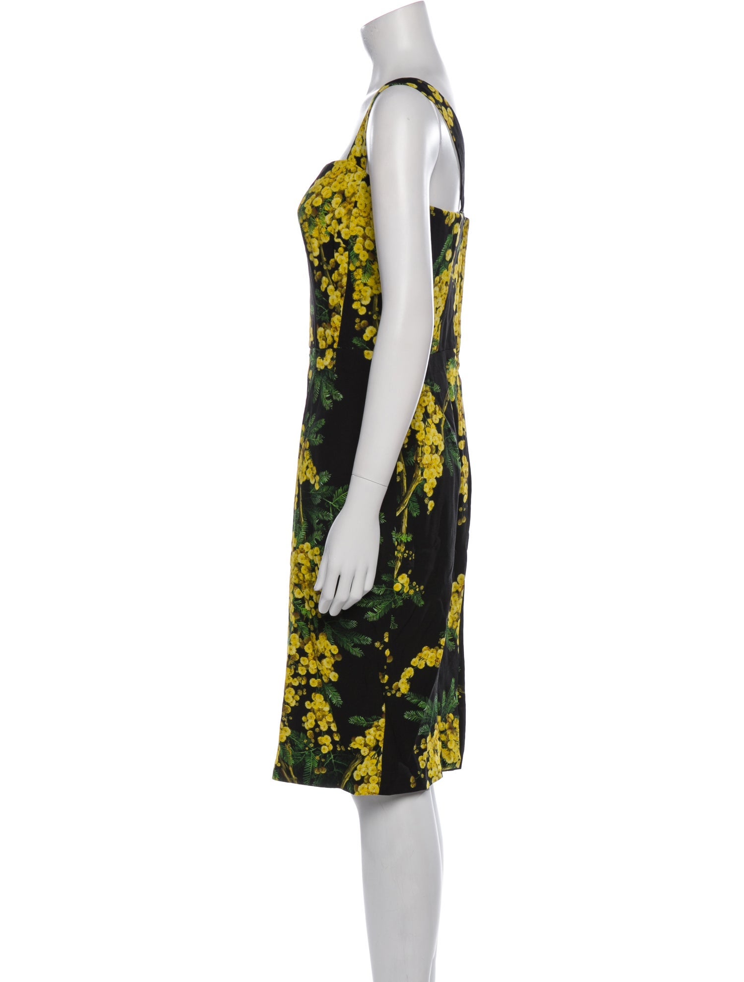 Dolce & Gabbana Floral Print Knee-Length Dress
