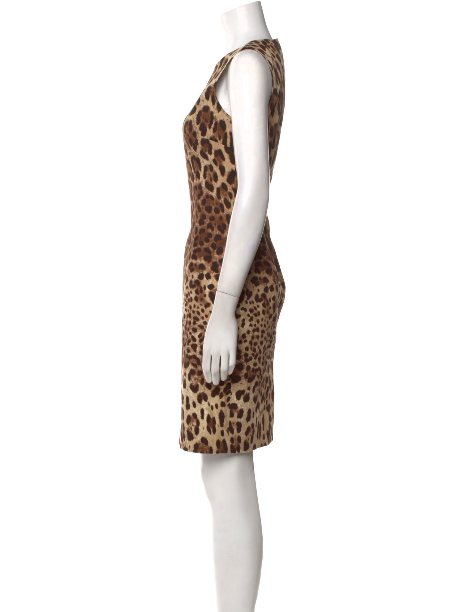 Dolce & Gabbana Animal Print Mini Dress