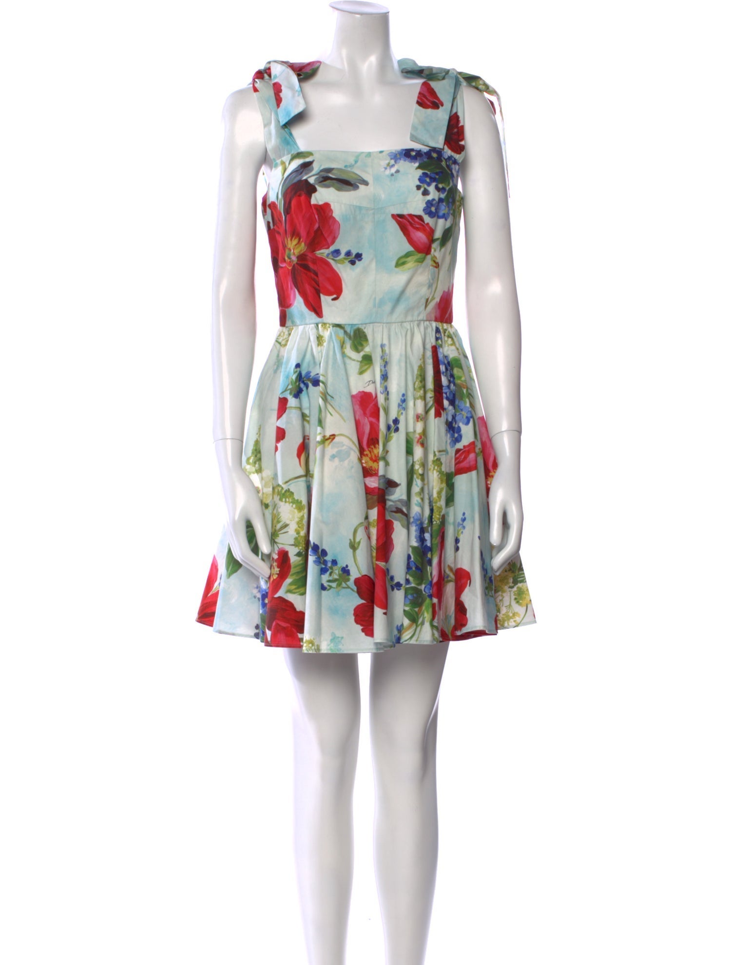 Dolce & Gabbana Floral Print Mini Dress