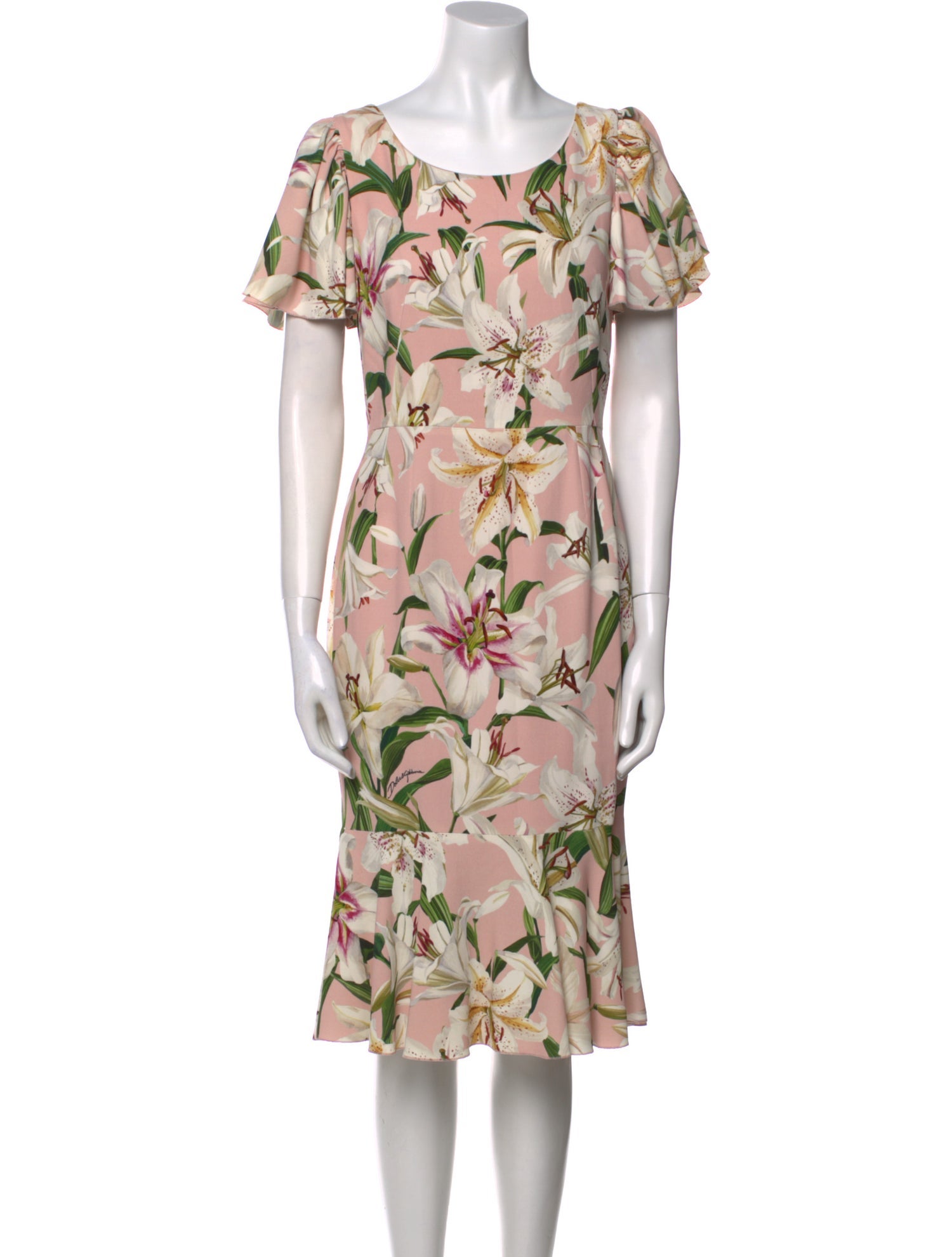 Dolce & Gabbana Floral Print Knee-Length Dress