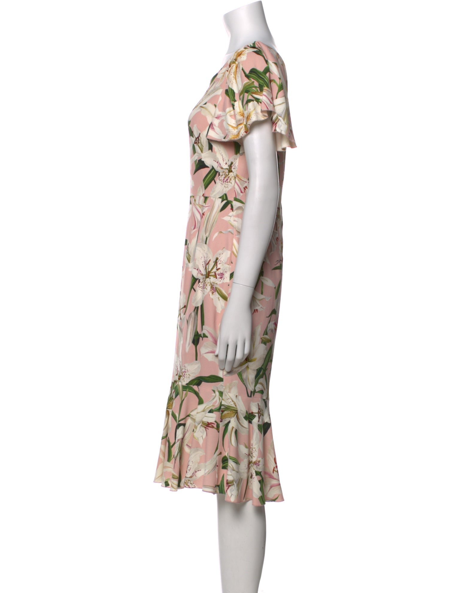 Dolce & Gabbana Floral Print Knee-Length Dress