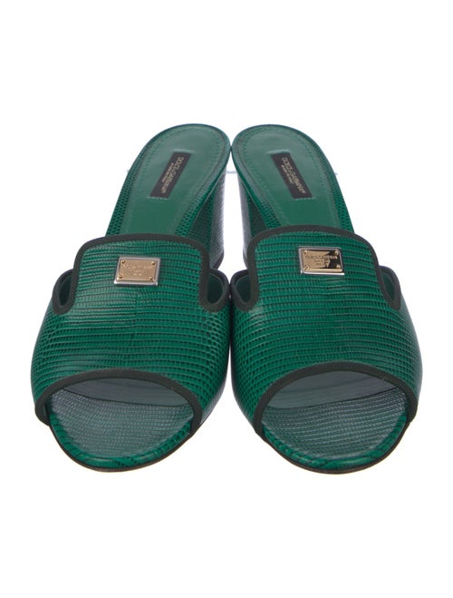 Dolce & Gabbana Lizard Slides