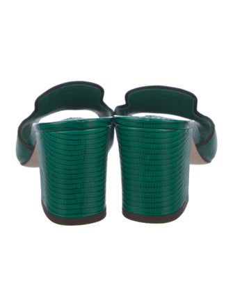 Dolce & Gabbana Lizard Slides