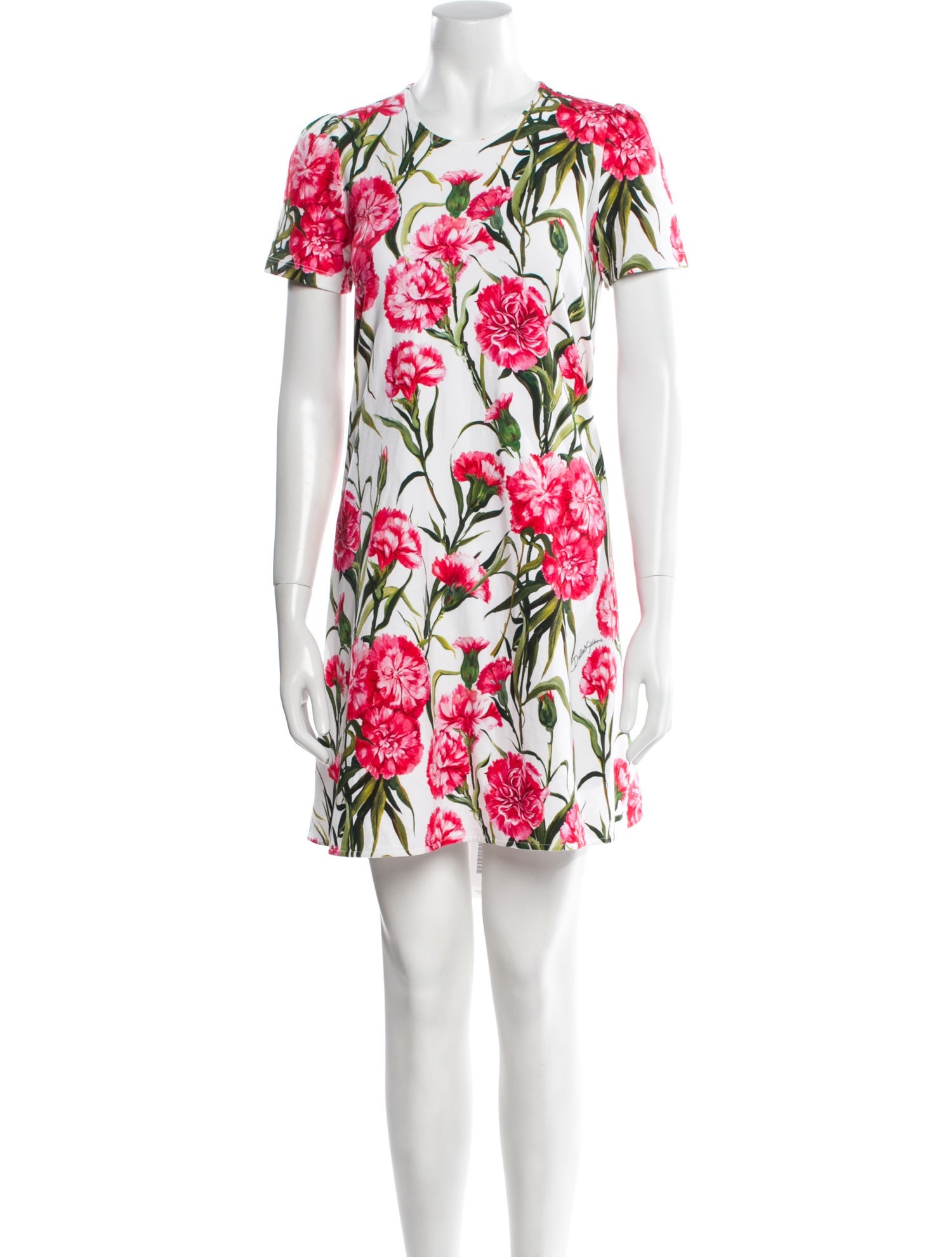 Dolce & Gabbana Floral Print Mini Dress