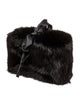 Dolce & Gabbana Fur Minaudière