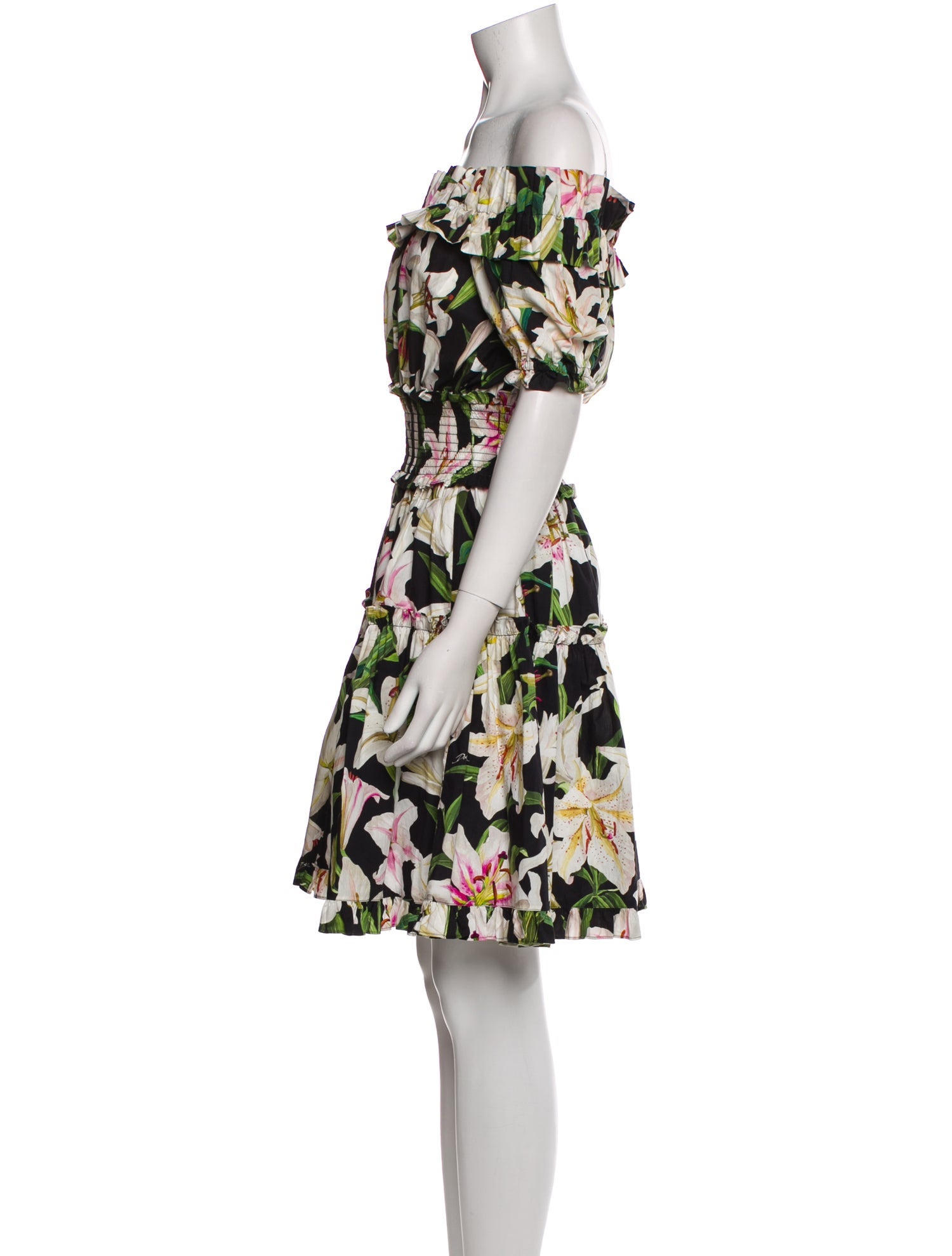 Dolce & Gabbana Floral Print Mini Dress