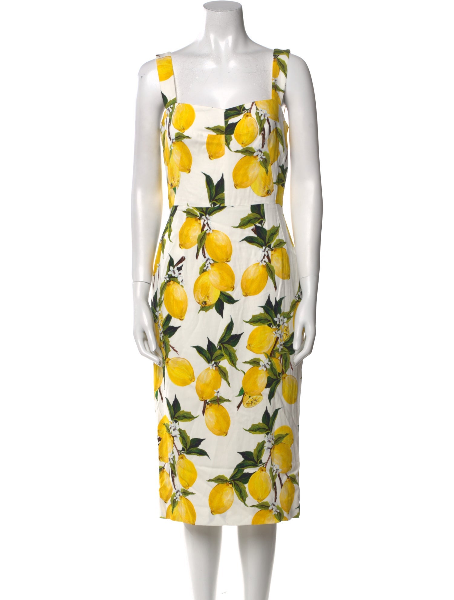 Dolce & Gabbana Floral Print Midi Length Dress