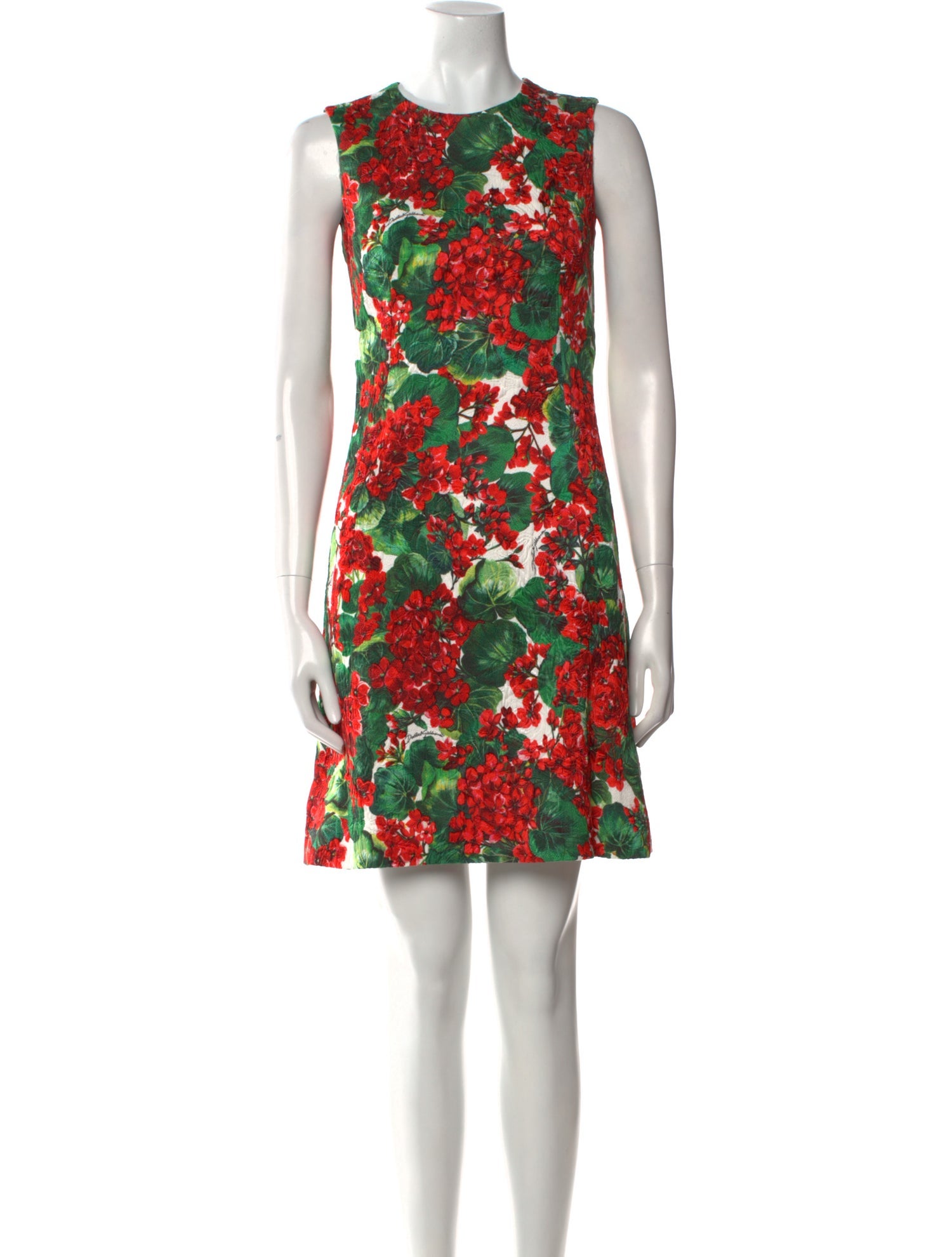 Dolce & Gabbana Floral Print Mini Dress