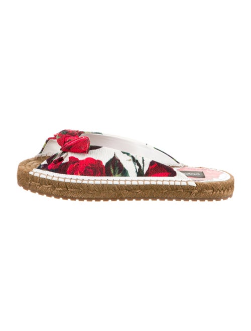 Dolce & Gabbana Canvas Floral Print Espadrilles