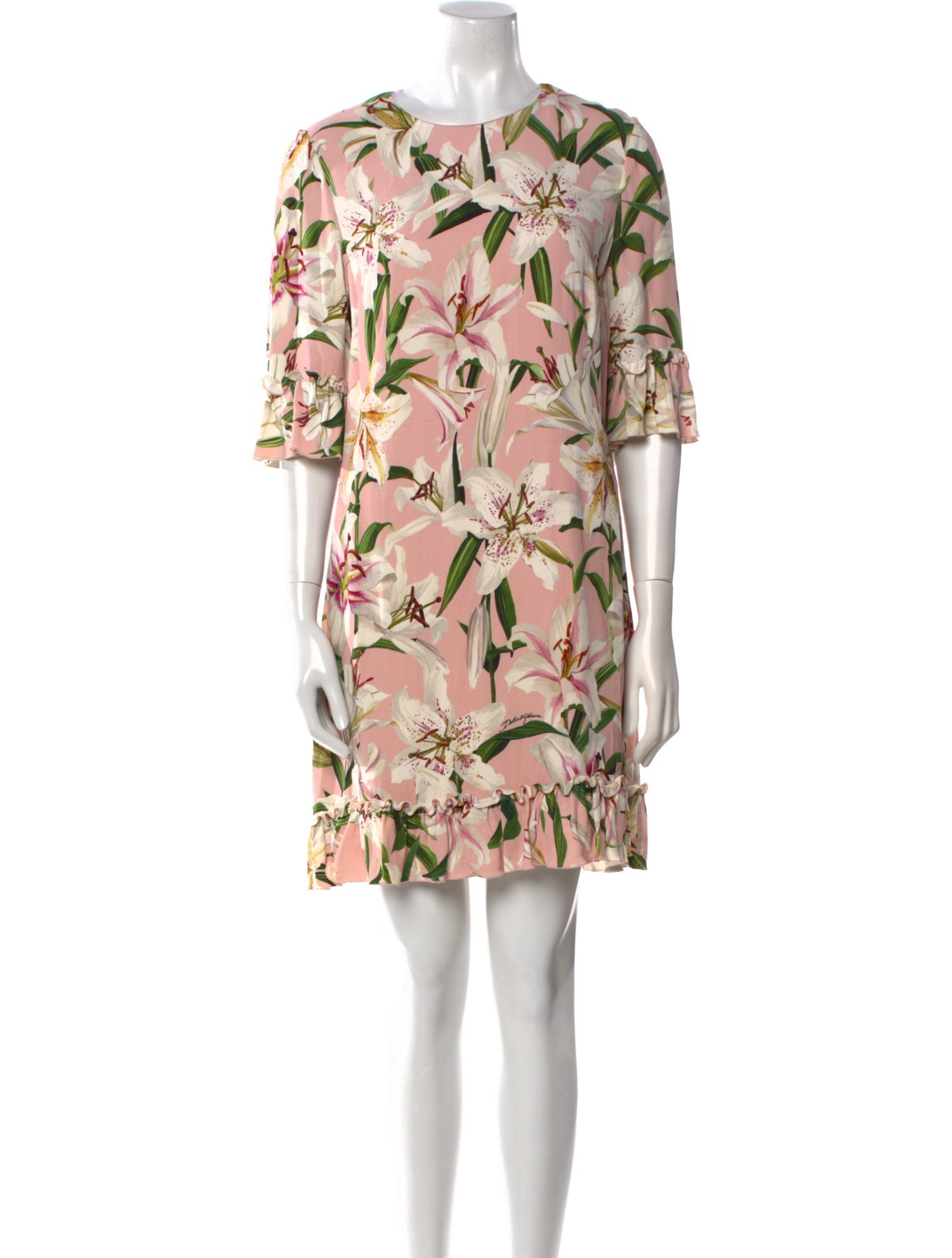 Dolce & Gabbana Floral Print Mini Dress