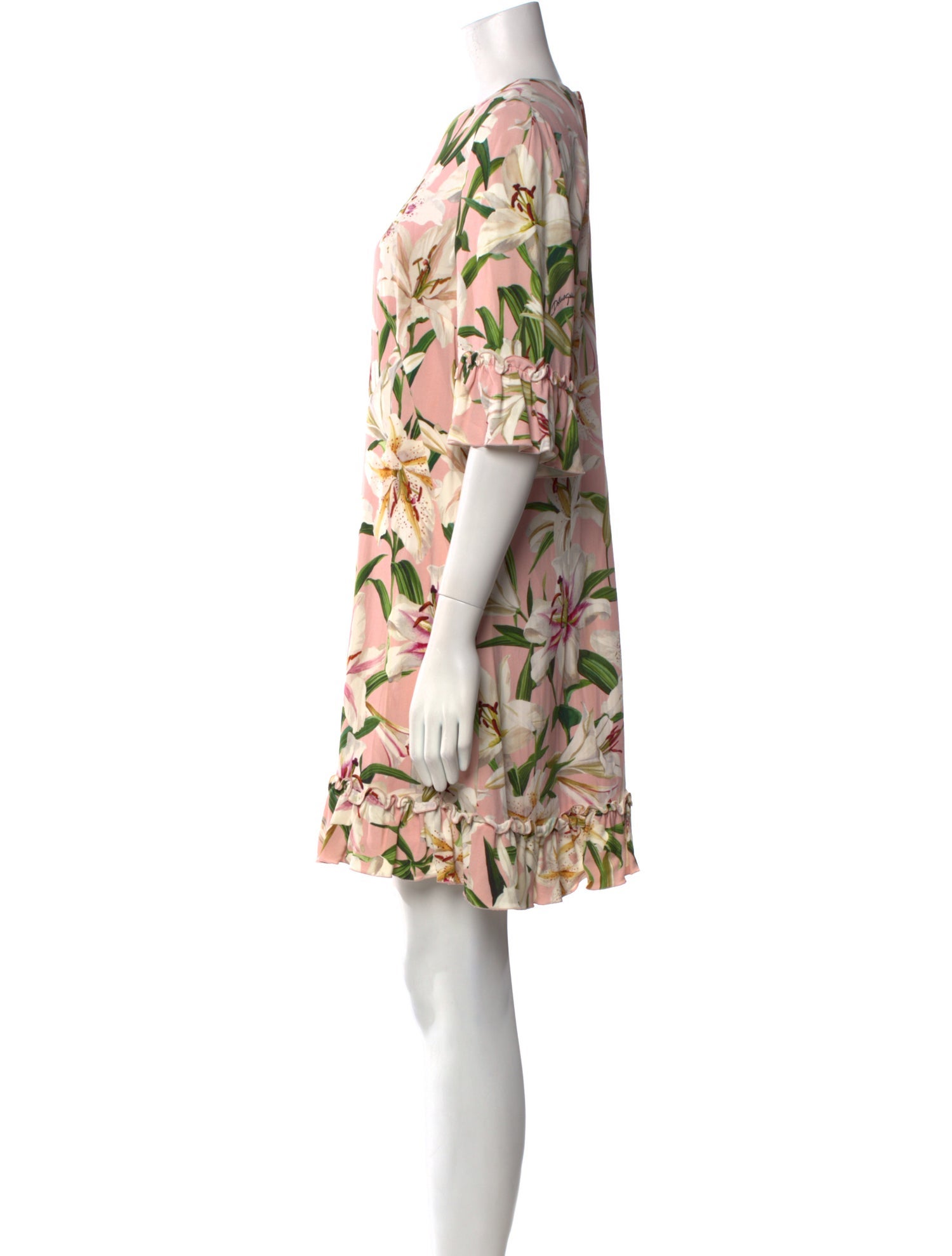 Dolce & Gabbana Floral Print Mini Dress