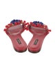 Dolce & Gabbana Leather Printed Slides