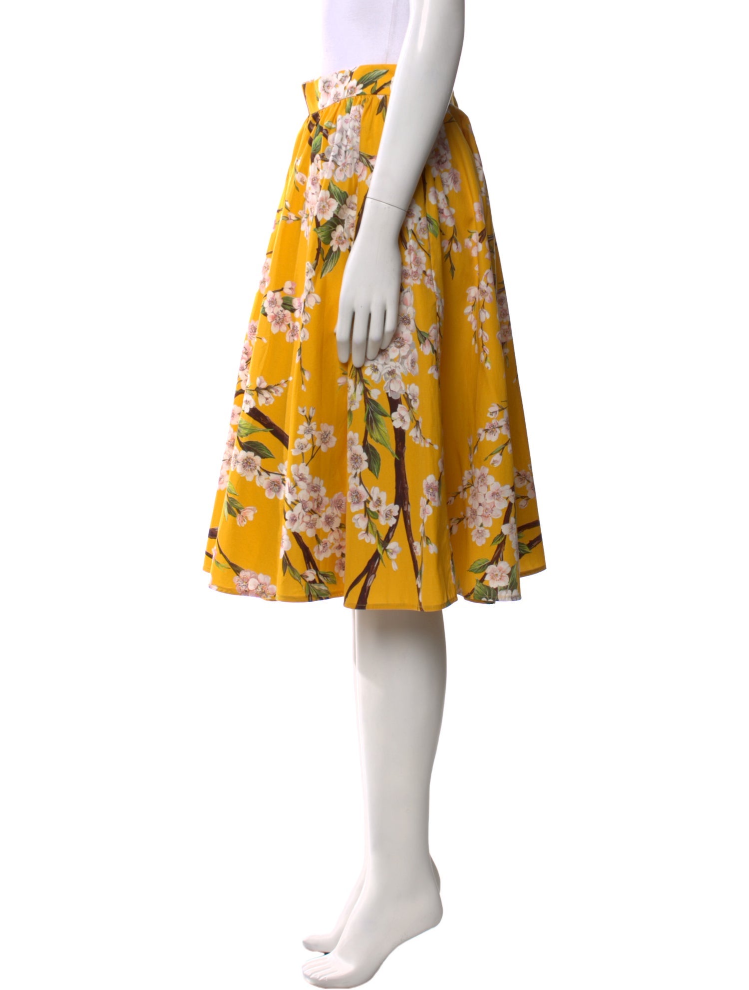 Dolce & Gabbana Floral Print Knee-Length Skirt