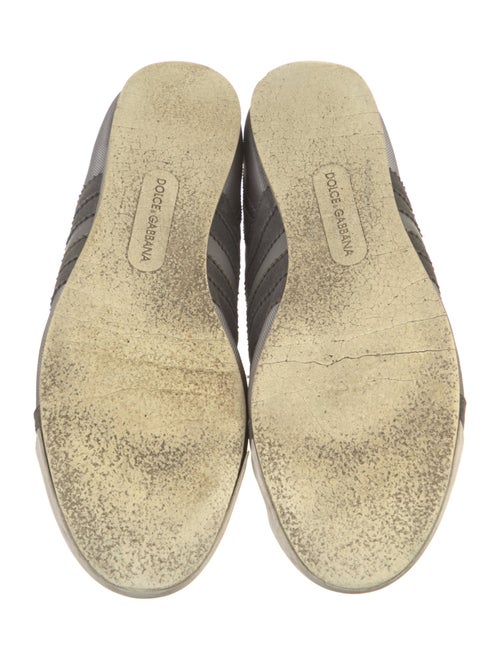 Dolce & Gabbana Canvas Printed Sneakers