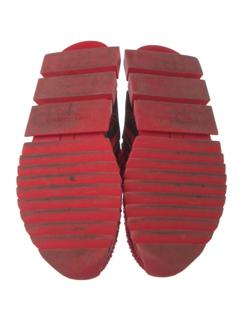 Dolce & Gabbana Crystal Printed Sneakers