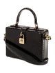 Dolce & Gabbana Python Dolce Bag