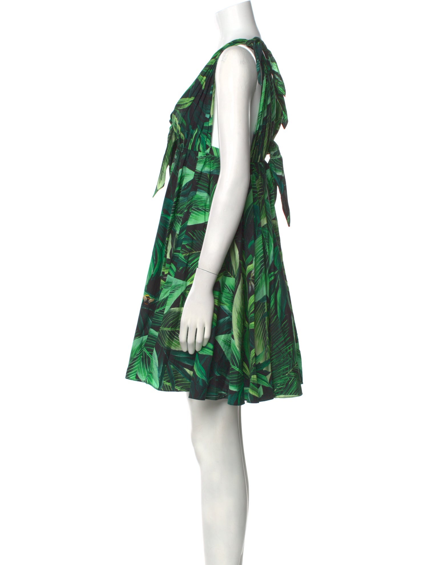 Dolce & Gabbana Printed Mini Dress