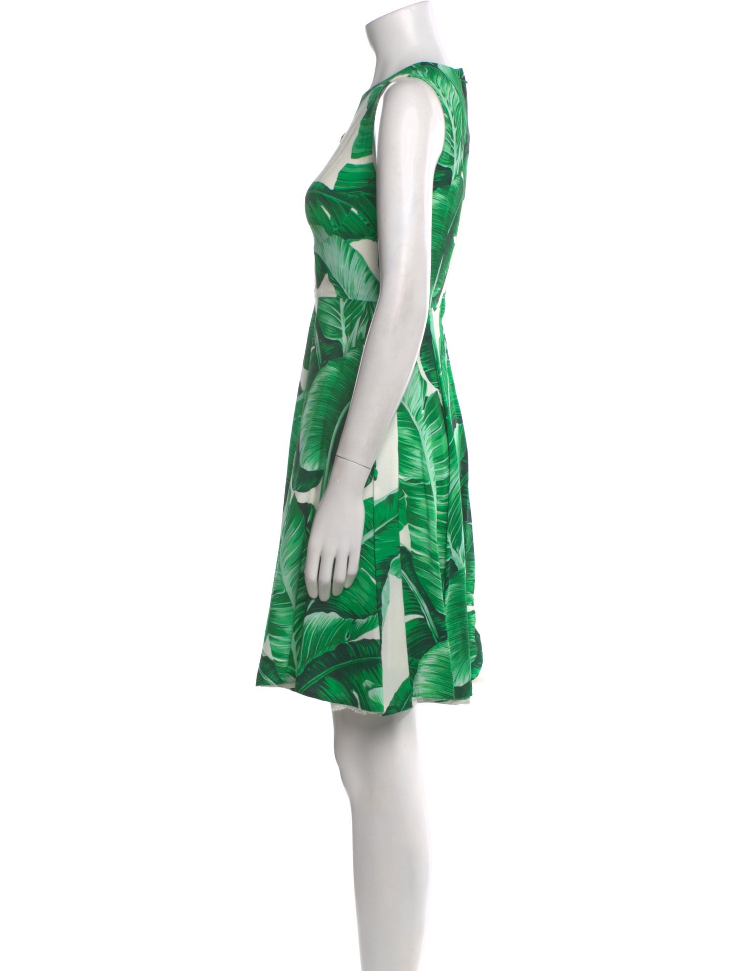 Dolce & Gabbana Printed Mini Dress