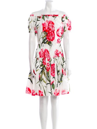Dolce & Gabbana Floral Print Knee-Length Dress