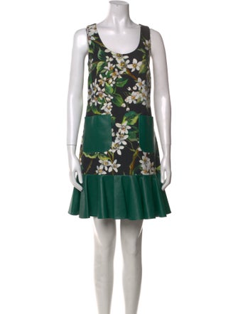 Dolce & Gabbana Floral Print Mini Dress