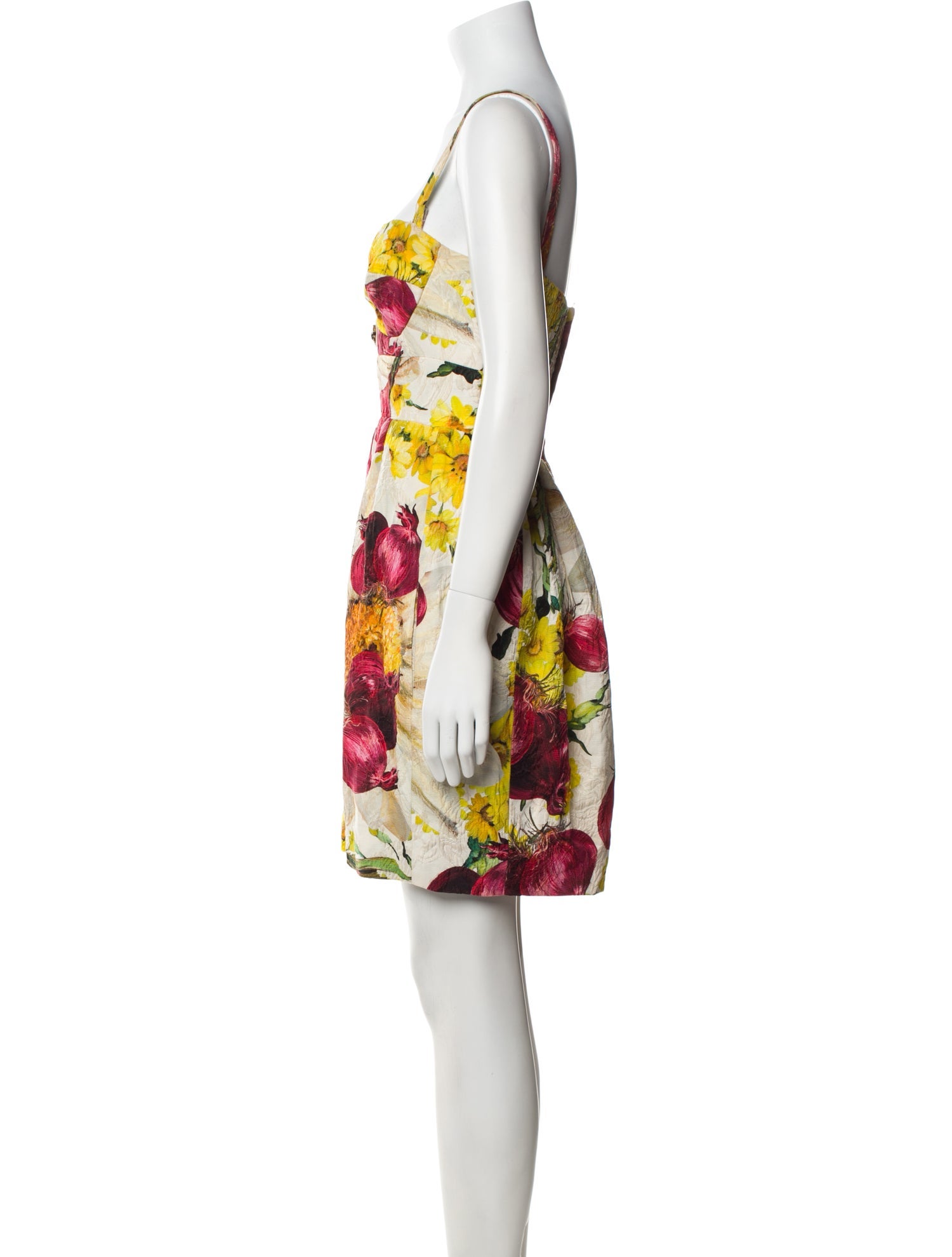Dolce & Gabbana Printed Mini Dress