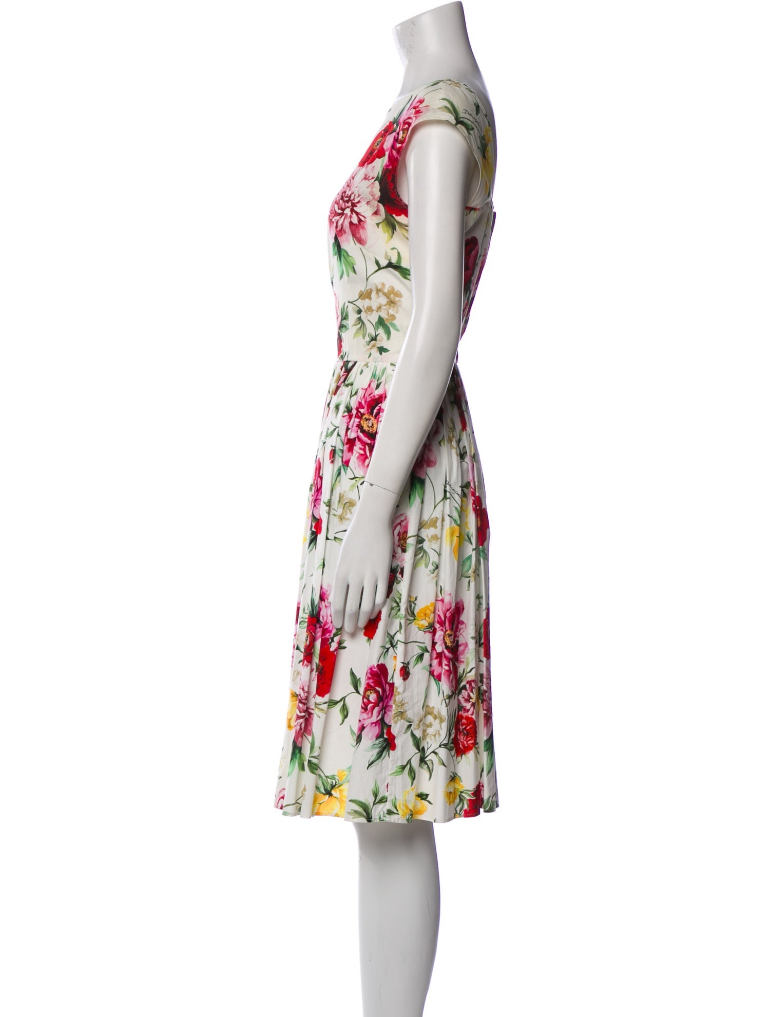 Dolce & Gabbana Floral Print Knee-Length Dress