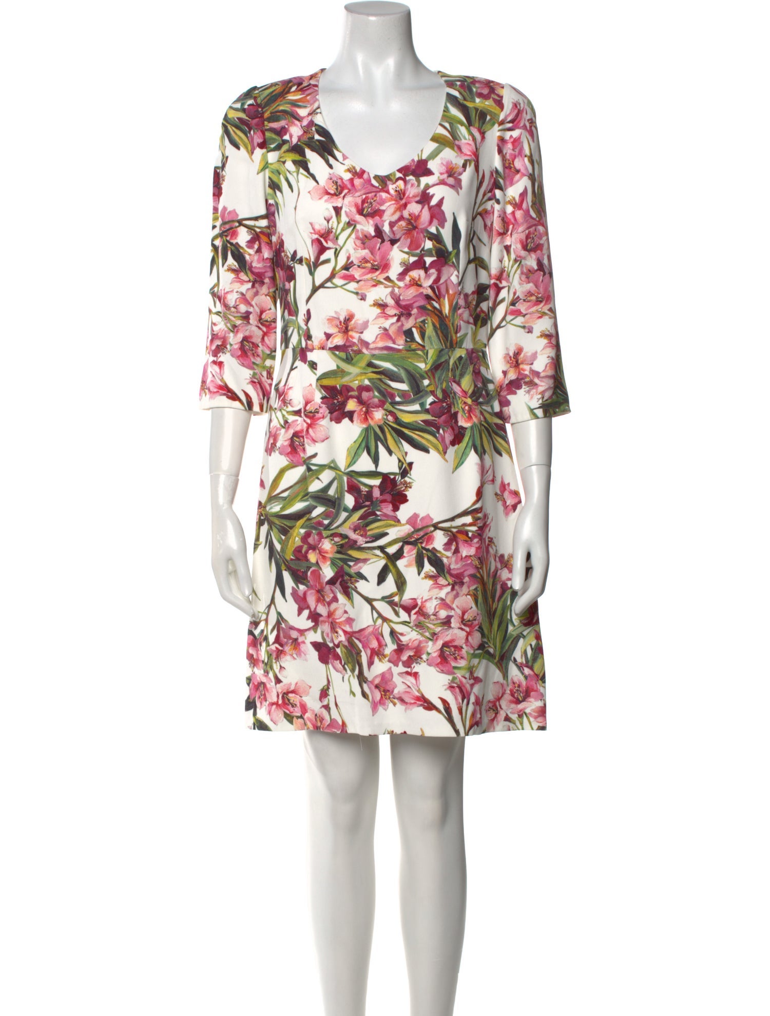 Dolce & Gabbana Floral Print Mini Dress