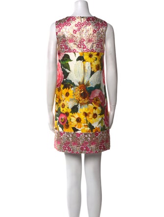 Dolce & Gabbana Floral Print Mini Dress