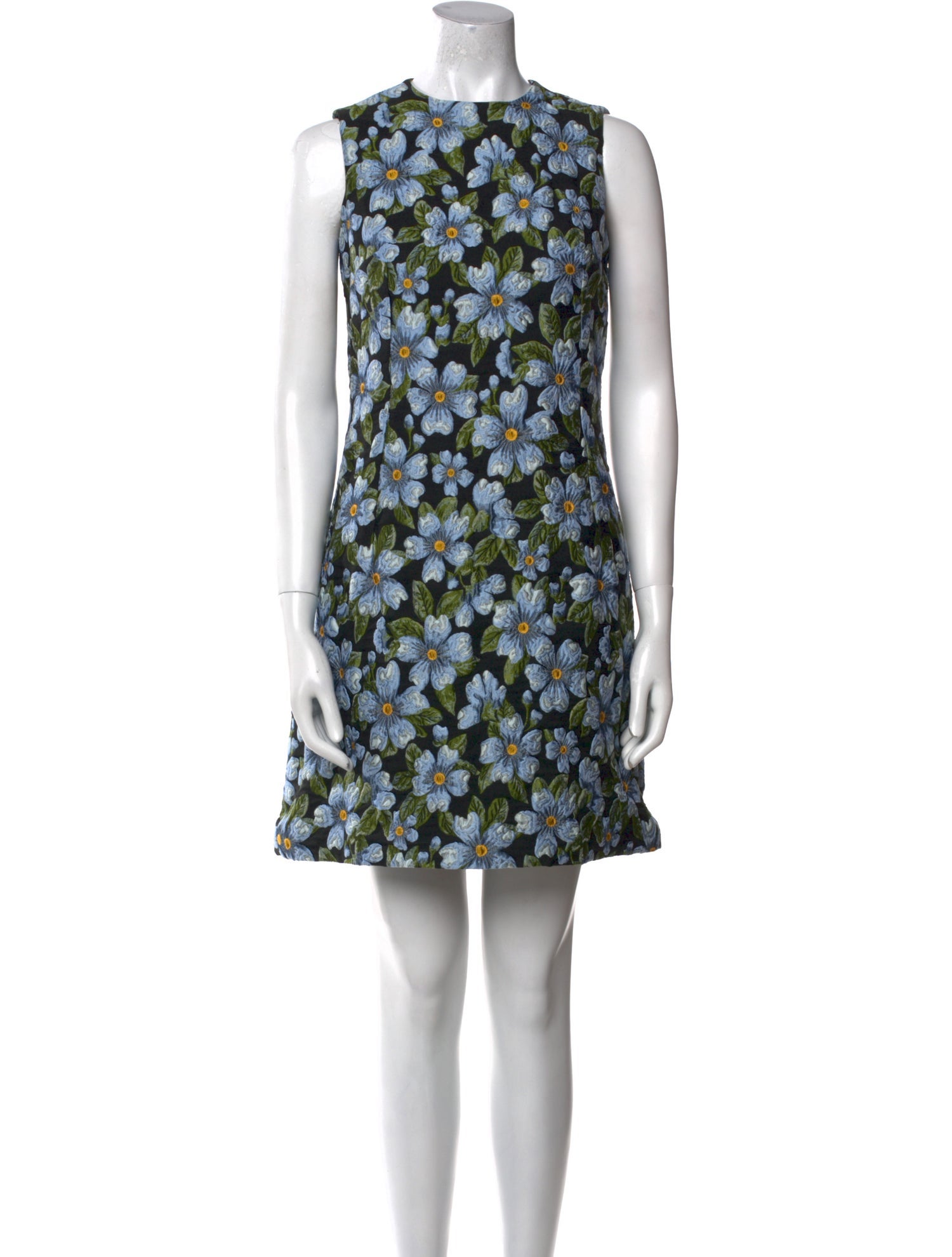 Dolce & Gabbana Floral Print Mini Dress