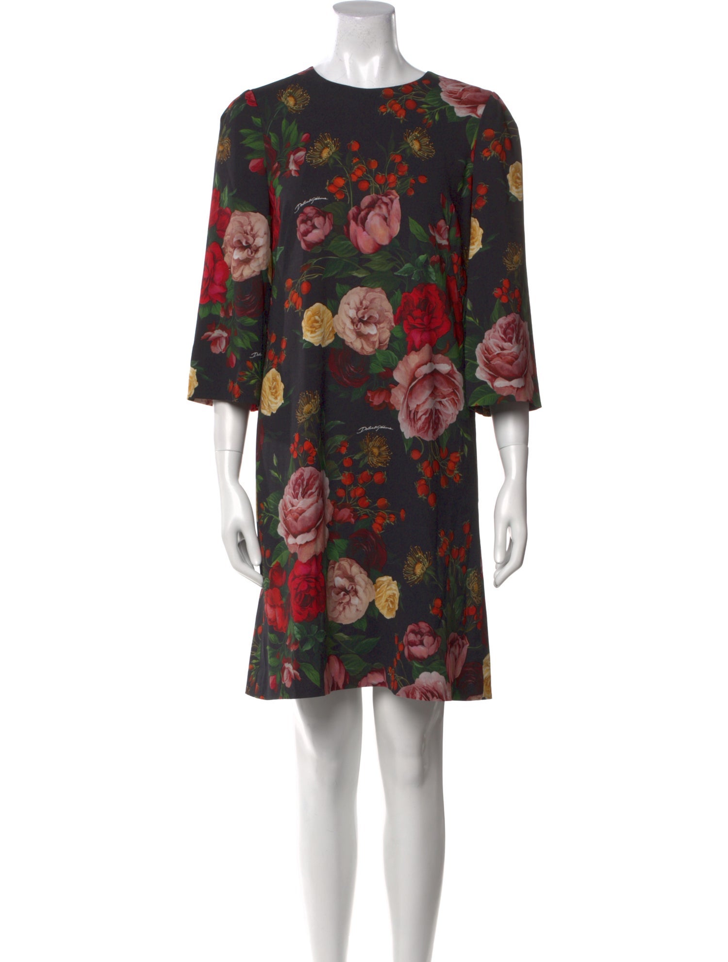 Dolce & Gabbana Floral Print Mini Dress