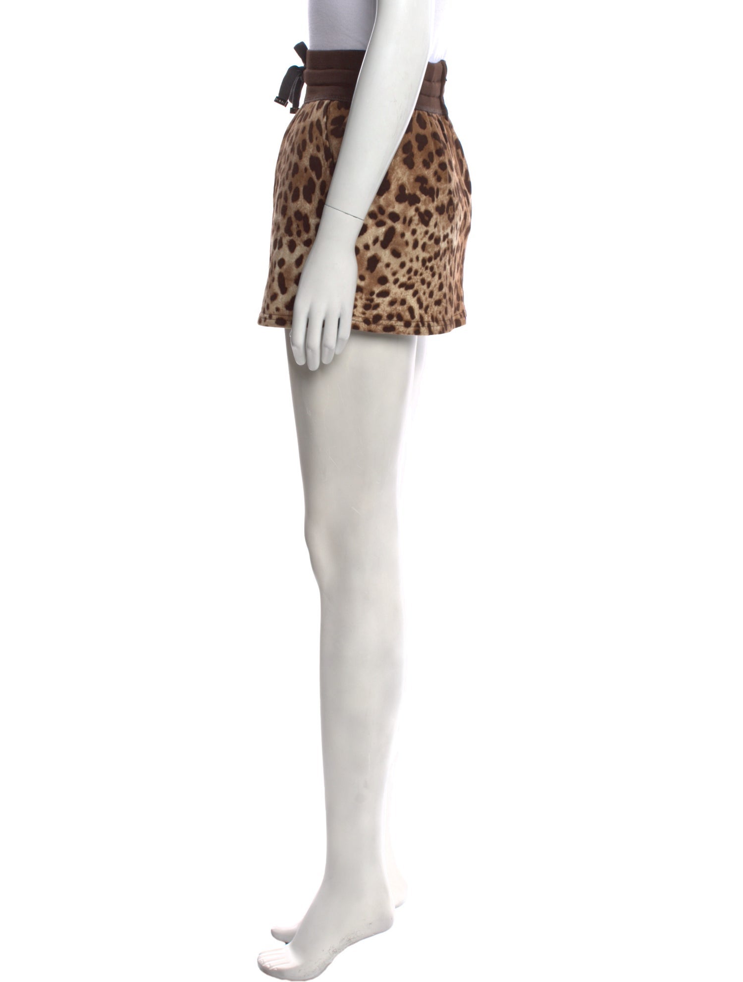 Dolce & Gabbana Animal Print Mini Skirt